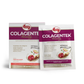 Vitafor Colagentek Beauty Maça Canela x30