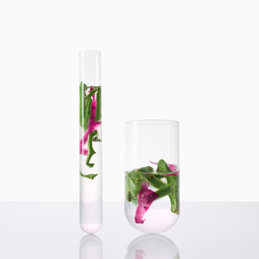 Klorane Condicionador Figo da Índia 200ml