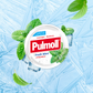 Pulmoll Pastilhas Menta Fresca + Vitamina C 45g